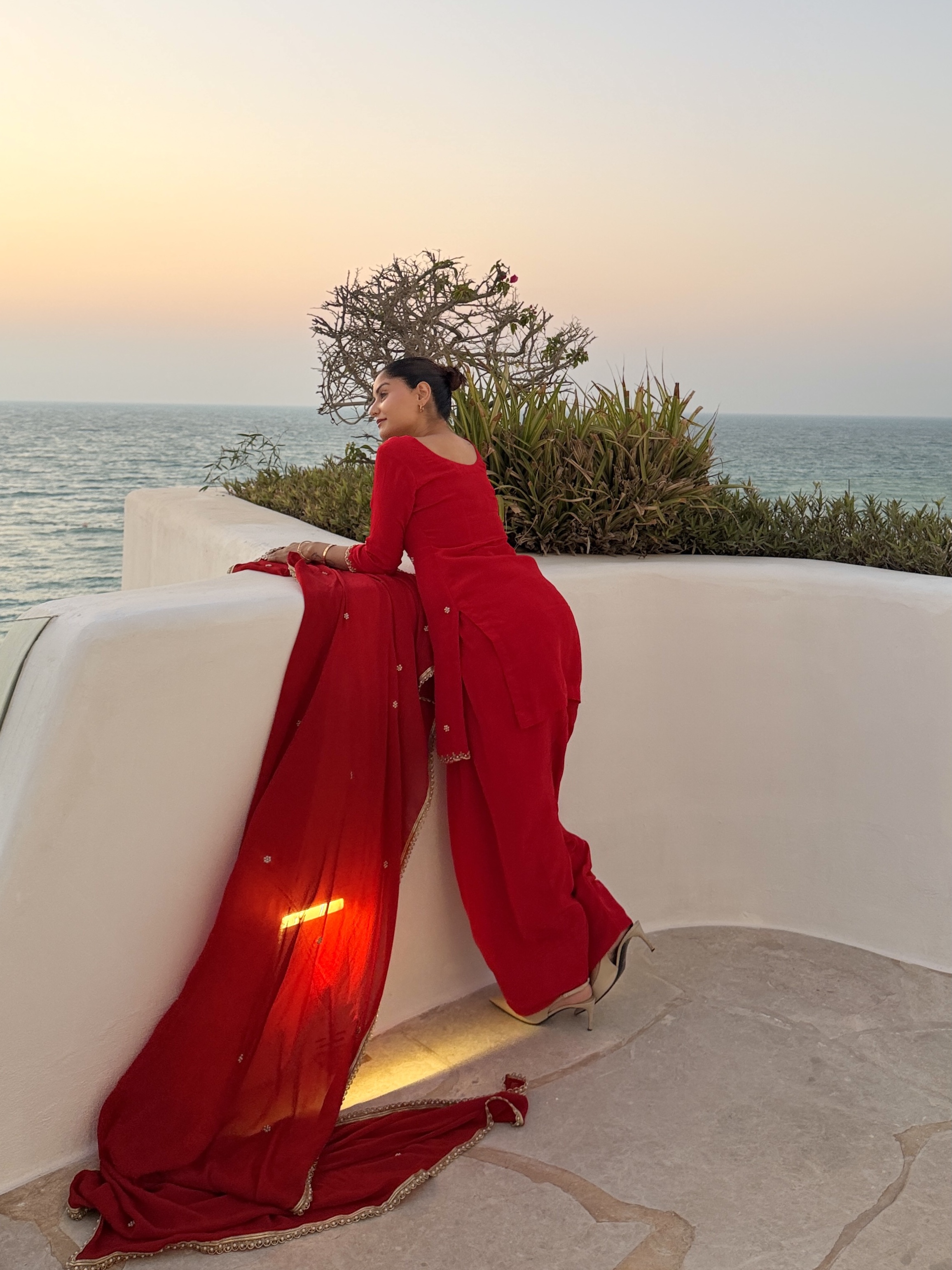 Crimson Radiance Embroidered Suit